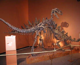 Denmark Dinosaur World - Schoolies Week Accommodation 0