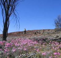 Talgomine Reserve - Schoolies Week Accommodation