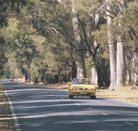 Ludlow Tuart Forest - Schoolies Week Accommodation