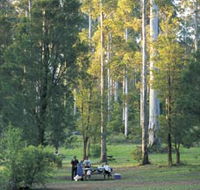Big Brook Arboretum - Schoolies Week Accommodation
