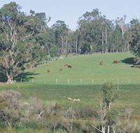 Scenic Drives - Bunbury Collie Donnybrook - Schoolies Week Accommodation