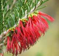 Ethel Daw Scenic Drive - Schoolies Week Accommodation