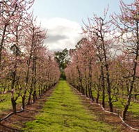 Raeburn Orchards - Schoolies Week Accommodation