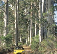Mount Shadforth Scenic Drive - Schoolies Week Accommodation