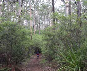  Schoolies Week Accommodation