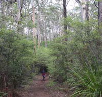 Margaret River Rails Trail - Schoolies Week Accommodation