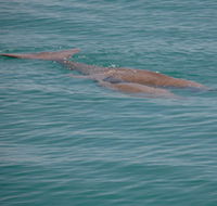 Dugongs - Schoolies Week Accommodation