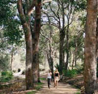 Law Trail and Lotterywest Federation Walkway Kings Park - Schoolies Week Accommodation