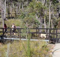 Forest Path Crooked Brook - Schoolies Week Accommodation