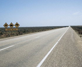Eyre Highway - Schoolies Week Accommodation 0