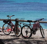 Parker Point Marine Snorkel Trail - Schoolies Week Accommodation