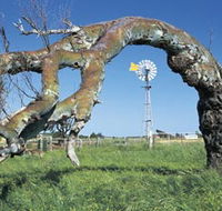 Greenough Leaning Trees - Schoolies Week Accommodation