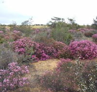 Reynoldson's Flora Reserve - Schoolies Week Accommodation