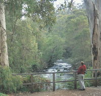 Cascades - Schoolies Week Accommodation