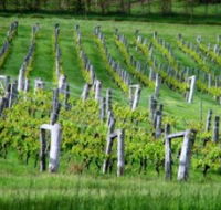 Sienna Estate Winery - Schoolies Week Accommodation