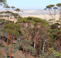 Mount Matilda Walk Trail Wongan Hills - Schoolies Week Accommodation