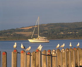Oyster Harbour - Schoolies Week Accommodation 0