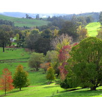 Golden Valley Tree Park - Schoolies Week Accommodation