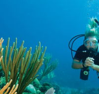 Coastal Water Dive - Schoolies Week Accommodation