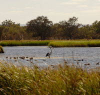 Anytime Adventures in Mandurah  the Peel Region - Schoolies Week Accommodation