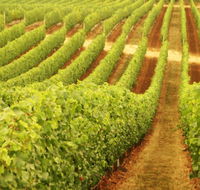 Happs Wines - Schoolies Week Accommodation