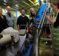 Eyre Peninsula's Seafood Trail - Schoolies Week Accommodation