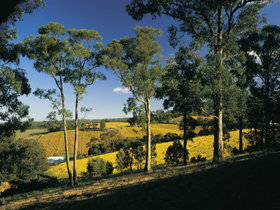 Lobethal Archives And Historical Museum - Schoolies Week Accommodation 0