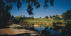 Mount Hurtle Winery Home Of Geoff Merrill Wines - Schoolies Week Accommodation 0