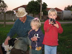 Orrie Cowie Merino And Poll Merino Stud - Schoolies Week Accommodation 0