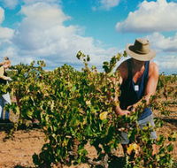 Torbreck Vintners - Schoolies Week Accommodation