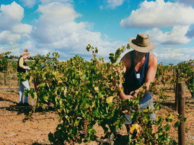 Torbreck Vintners - Schoolies Week Accommodation 0