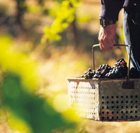 Burge Family Winemakers - Schoolies Week Accommodation