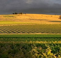 Kellermeister Wines - Schoolies Week Accommodation