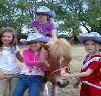 Amberainbow Pony Rides - Schoolies Week Accommodation