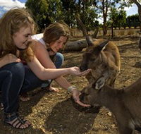 Kangaroo Island Wildlife Park - Schoolies Week Accommodation