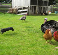 Echo Farm - Schoolies Week Accommodation