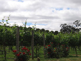  Schoolies Week Accommodation