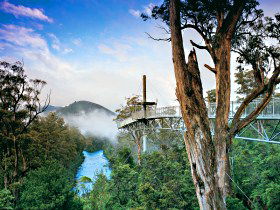  Schoolies Week Accommodation