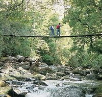 Arve Forest Drive - Schoolies Week Accommodation