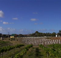 Deep Creek Wines and Alpacas - Schoolies Week Accommodation