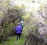 Jack And Hilda McArthur Walk - Schoolies Week Accommodation