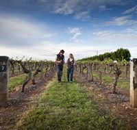 Coonawarra Wineries Walking Trail - Schoolies Week Accommodation