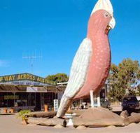 The Big Galah - Schoolies Week Accommodation