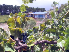 Zimmermann Wine - Schoolies Week Accommodation 0