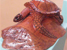Ants Redgum Gallery - Schoolies Week Accommodation 0