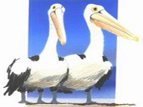 Bay Of Shoals Wines - Schoolies Week Accommodation 0