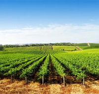 Aldinga Bay Winery - Schoolies Week Accommodation