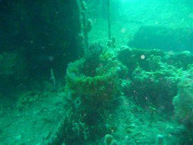 Wallaroo Scuba Club - Schoolies Week Accommodation 0