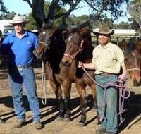 Coffin Bay Brumby Preservation Society Incorporated - Schoolies Week Accommodation
