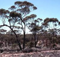 Clements Gap Conservation Park - Schoolies Week Accommodation